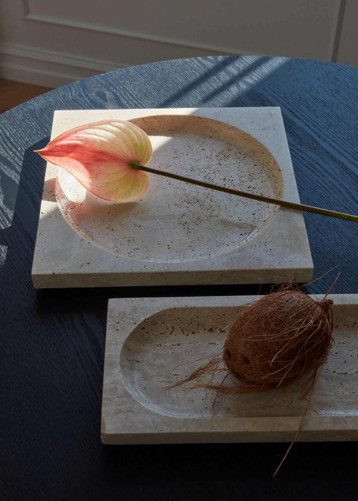 REGINA dish REGINA dish